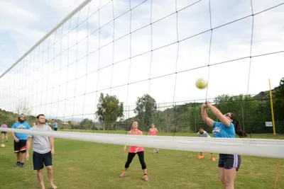 DSC_1466 (Large).JPG